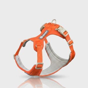 Whippet Anti-Slip Dog Harness